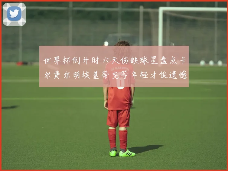 世界杯倒计时六天伤缺球星盘点卡尔费尔明埃基蒂克等年轻才俊遗憾缺席