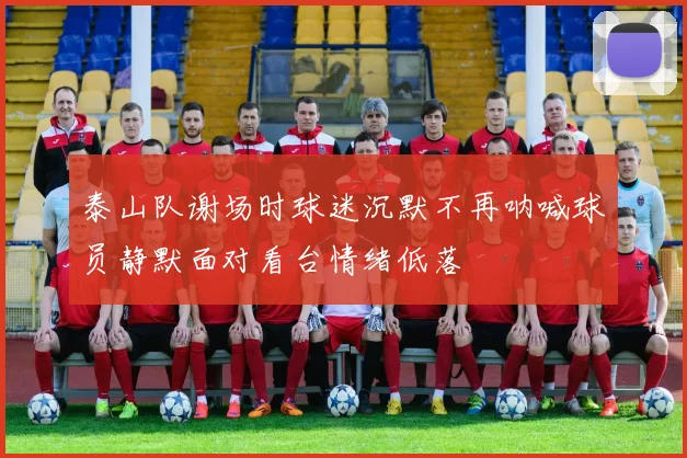 泰山队谢场时球迷沉默不再呐喊球员静默面对看台情绪低落